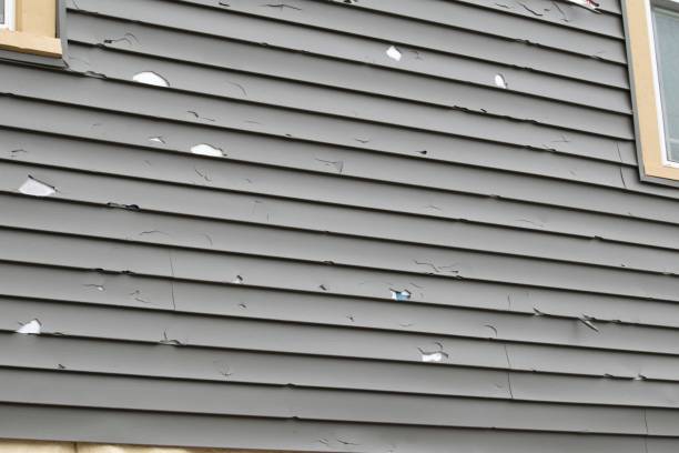 Best Residential Vinyl Siding Installation  in El Verano, CA