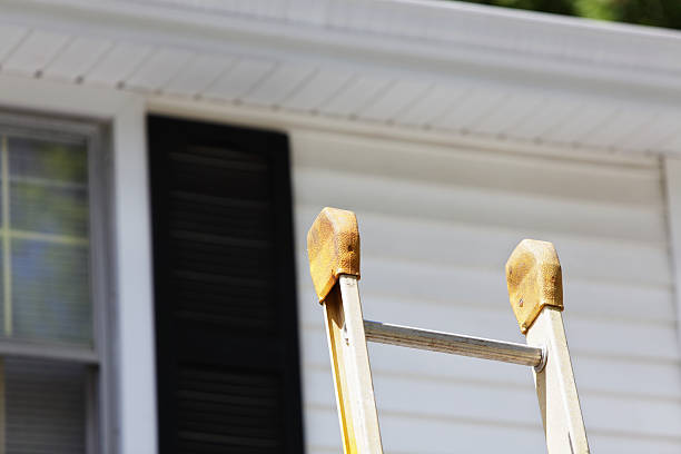 Best Aluminum Siding Installation  in El Verano, CA