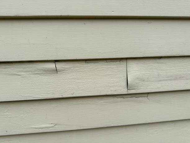 Best Residential Vinyl Siding Installation  in El Verano, CA